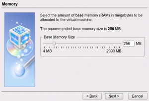 Set VM Memory